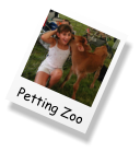 Petting Zoo